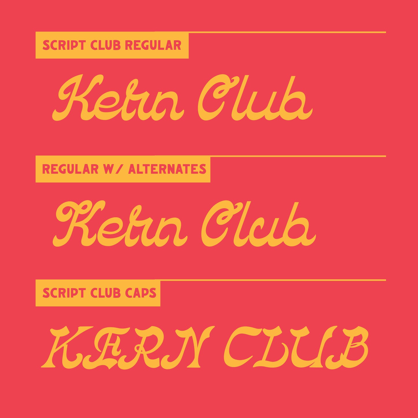 Script Club Font